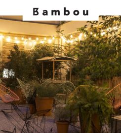 Bambou Paris